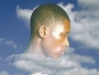 Sewex