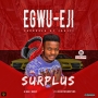 surplus