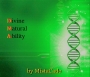 FiveInTheSky by MistaCade aka Prodigal Sun