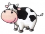 cow_net