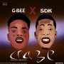 G bee ft lord sdk