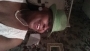 songbird69