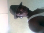jorezy