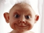bachure