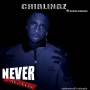 CHIBLINGZ