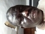Opetugaademo