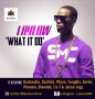 What It Do by Laylow ft. Buckwylla, SosSick, Phyno, Yung6ix, Seriki, Phenom, Olamide, Liu T & Jesse Jagz