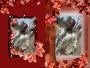 Doyinsolami