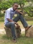 LORDBnn