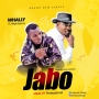 Whally Ft Alhaji Pasuma