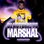 SCREEN SAVER (DJ NOTORIOUS MARSHAL ESSENTIAL RMX) by WIZBOYY FT J MARTINS