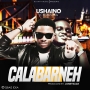 Ushaino ft Bigbenking