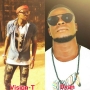 Vision-T ft Dyan