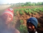 Belove Ofordile