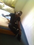 franklinxcellen
