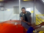 omohap