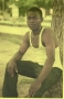 westino