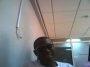 slimstev