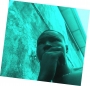 petrob