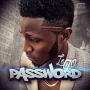 Logo by Password