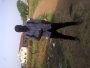 onimisi001