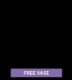 freeguy20