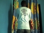dalux2fast