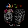 Danny S x Olamide