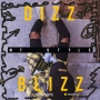 DizzBlizz