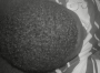 fuamraurkq