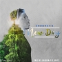 New Day by Chordratic