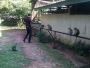 uzoma20124real
