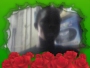 marychris