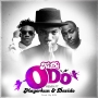 Odo (Remix) by Kidi ft. Davido & Mayorkun