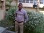 tolex