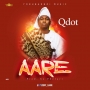 Aare (Prod. By Pherari) by Qdot