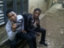clement23