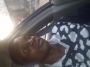 yourmmie