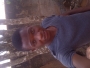 Phemmydeola