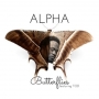 Butterflies by Alpha Ft. TOD