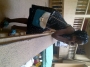 cyntie