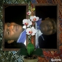 revado