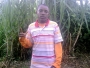 munabo
