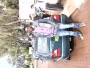 rockiss
