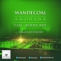 Amorawa by Wande Coal ft Burna Boy