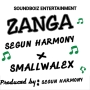 Segun harmony 