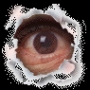 eyesee