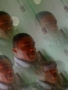 lordsmart