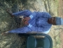ahmed444