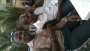docwest05